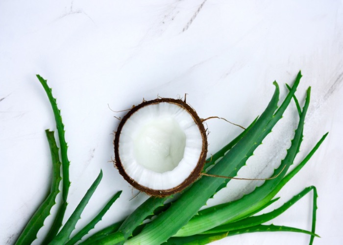 Coconut Oil Aloe Vera Gel for hair smoothening